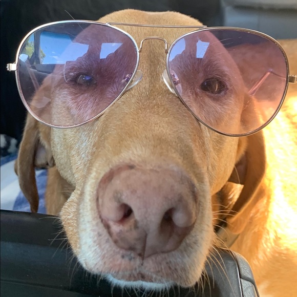 My closet over floweth!Come snatch up cute things! - Picture 5 of 5